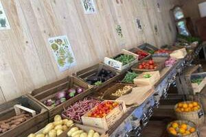 La cuisine de Noëlla et le Potager de Charlie