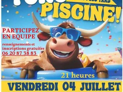 Toro Piscine