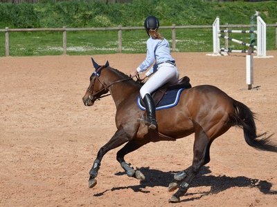 La Cabane aux Poneys