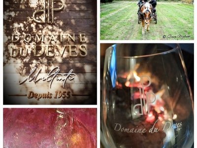 Les automnales du domaine Devès 3ème édition