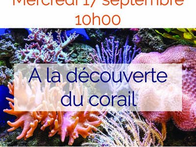 Atelier "A la découverte du corail"