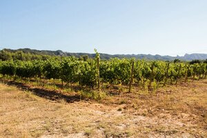 Domaine du Val de L'Oule