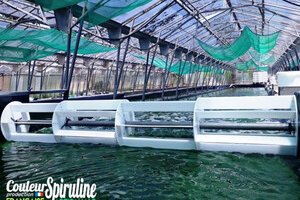 La Ferme des Parpaiouns - Couleur Spiruline