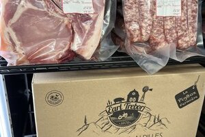 Cochon des Alpilles - EARL Trebor