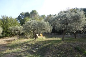 Villa Chrisma