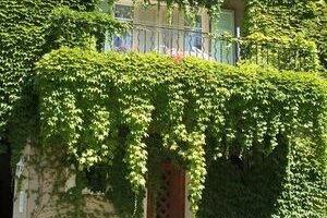 La Finiere