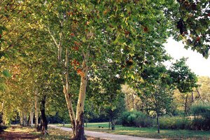 Parc des Sports et des Loisirs