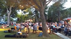 Les Musicales du Château à Noves