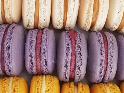 Gourmandyne par Benoît Molin