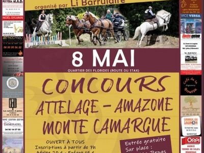 Concours Monte-Camargue et attelages