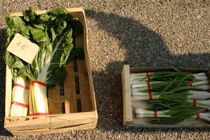 Marché des producteurs