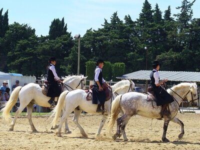 Les Ecuries du Petit Claux