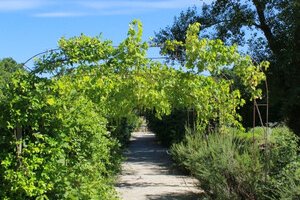 Jardin des simples