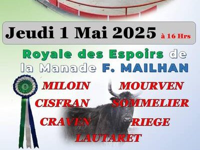 Course camarguaise - Royale des Espoirs