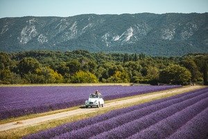 Yes Provence - The Vintage Roads