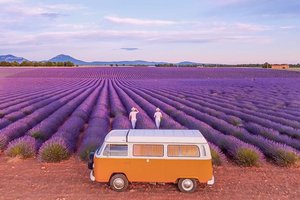 Yes Provence - The Vintage Roads