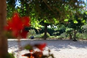 La Farigoule