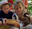 Écureuil gourmand aux Animaux et Marino à Saint-Andiol