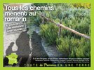 Tous les chemins mènent au romarin