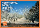 Notre secret, garder la pêche !