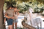 Parc animalier : L'arche de Méo
