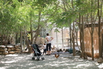 Sortie famille à l'arche de Méo de Mollégès