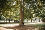 Parc du Château