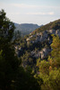 Falaises à Orgon