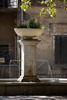 Fontaine en centre ville de Rognonas