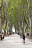 Parc du château de Saint-Andiol